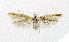  ( - NHMO-DAR-5361)  @12 [ ] Copyright (2015) Unspecified University of Oslo, Natural History Museum