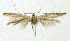  ( - NHMO-DAR-5392)  @12 [ ] Copyright (2015) Unspecified University of Oslo, Natural History Museum