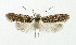  ( - NHMO-DAR-5395)  @11 [ ] Copyright (2015) Unspecified University of Oslo, Natural History Museum