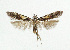  ( - NHMO-DAR-5470)  @13 [ ] Copyright (2015) Unspecified University of Oslo, Natural History Museum
