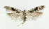  ( - NHMO-DAR-5476)  @14 [ ] Copyright (2015) Unspecified University of Oslo, Natural History Museum