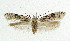 ( - NHMO-DAR-5477)  @14 [ ] Copyright (2015) Unspecified University of Oslo, Natural History Museum