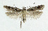  ( - NHMO-DAR-5493)  @12 [ ] Copyright (2015) Unspecified University of Oslo, Natural History Museum