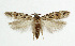  ( - NHMO-DAR-5566)  @14 [ ] Copyright (2015) Unspecified University of Oslo, Natural History Museum