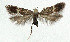  ( - NHMO-DAR-5581)  @12 [ ] Copyright (2015) Unspecified University of Oslo, Natural History Museum