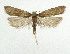  ( - NHMO-DAR-5622)  @13 [ ] Copyright (2015) Unspecified University of Oslo, Natural History Museum