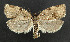  ( - NHMO-DAR-5969)  @14 [ ] Copyright (2015) Unspecified University of Oslo, Natural History Museum
