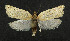  ( - NHMO-DAR-5976)  @14 [ ] Copyright (2015) Unspecified University of Oslo, Natural History Museum
