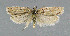  ( - NHMO-DAR-6112)  @13 [ ] Copyright (2015) Unspecified University of Oslo, Natural History Museum
