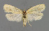  ( - NHMO-DAR-6234)  @14 [ ] Copyright (2015) Unspecified University of Oslo, Natural History Museum