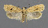  ( - NHMO-DAR-6235)  @14 [ ] Copyright (2015) Unspecified University of Oslo, Natural History Museum