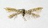  ( - NHMO-DAR-9430)  @12 [ ] CreativeCommons - Attribution Non-Commercial Share-Alike (2016) Unspecified University of Oslo, Natural History Museum