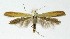  ( - NHMO-DAR-9451)  @14 [ ] CreativeCommons - Attribution Non-Commercial Share-Alike (2016) Unspecified University of Oslo, Natural History Museum