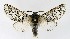  ( - NHMO-DAR-9650)  @13 [ ] CreativeCommons - Attribution Non-Commercial Share-Alike (2016) Unspecified University of Oslo, Natural History Museum