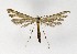  ( - NHMO-DAR-9665)  @13 [ ] CreativeCommons - Attribution Non-Commercial Share-Alike (2016) Unspecified University of Oslo, Natural History Museum