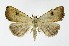 ( - NHMO-DAR-9697)  @14 [ ] CreativeCommons - Attribution Non-Commercial Share-Alike (2016) Unspecified University of Oslo, Natural History Museum