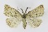  ( - NHMO-DAR-9710)  @14 [ ] CreativeCommons - Attribution Non-Commercial Share-Alike (2016) Unspecified University of Oslo, Natural History Museum