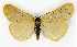  ( - NHMO-DAR-9732)  @14 [ ] CreativeCommons - Attribution Non-Commercial Share-Alike (2016) Unspecified University of Oslo, Natural History Museum