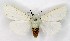  ( - NHMO-DAR-9753)  @13 [ ] CreativeCommons - Attribution Non-Commercial Share-Alike (2016) Unspecified University of Oslo, Natural History Museum