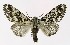  ( - NHMO-DAR-9771)  @14 [ ] CreativeCommons - Attribution Non-Commercial Share-Alike (2016) Unspecified University of Oslo, Natural History Museum
