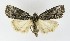  ( - NHMO-DAR-9861)  @14 [ ] CreativeCommons - Attribution Non-Commercial Share-Alike (2016) Unspecified University of Oslo, Natural History Museum