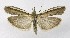  ( - NHMO-DAR-10169)  @14 [ ] CreativeCommons - Attribution Non-Commercial Share-Alike (2016) Unspecified University of Oslo, Natural History Museum