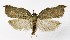  ( - NHMO-DAR-9915)  @14 [ ] CreativeCommons - Attribution Non-Commercial Share-Alike (2016) Unspecified University of Oslo, Natural History Museum