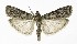  ( - NHMO-DAR-9923)  @14 [ ] CreativeCommons - Attribution Non-Commercial Share-Alike (2016) Unspecified University of Oslo, Natural History Museum