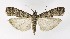  ( - NHMO-DAR-9925)  @14 [ ] CreativeCommons - Attribution Non-Commercial Share-Alike (2016) Unspecified University of Oslo, Natural History Museum