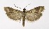  ( - NHMO-DAR-10178)  @14 [ ] CreativeCommons - Attribution Non-Commercial Share-Alike (2016) Unspecified University of Oslo, Natural History Museum