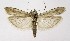  ( - NHMO-DAR-9949)  @14 [ ] CreativeCommons - Attribution Non-Commercial Share-Alike (2016) Unspecified University of Oslo, Natural History Museum