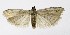  ( - NHMO-DAR-9950)  @13 [ ] CreativeCommons - Attribution Non-Commercial Share-Alike (2016) Unspecified University of Oslo, Natural History Museum