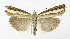  ( - NHMO-DAR-9977)  @13 [ ] CreativeCommons - Attribution Non-Commercial Share-Alike (2016) Unspecified University of Oslo, Natural History Museum