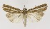  ( - NHMO-DAR-9978)  @13 [ ] CreativeCommons - Attribution Non-Commercial Share-Alike (2016) Unspecified University of Oslo, Natural History Museum