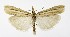  ( - NHMO-DAR-9989)  @14 [ ] CreativeCommons - Attribution Non-Commercial Share-Alike (2016) Unspecified University of Oslo, Natural History Museum