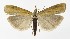  ( - NHMO-DAR-9990)  @14 [ ] CreativeCommons - Attribution Non-Commercial Share-Alike (2016) Unspecified University of Oslo, Natural History Museum