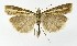  ( - NHMO-DAR-9992)  @14 [ ] CreativeCommons - Attribution Non-Commercial Share-Alike (2016) Unspecified University of Oslo, Natural History Museum