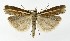  ( - NHMO-DAR-9994)  @14 [ ] CreativeCommons - Attribution Non-Commercial Share-Alike (2016) Unspecified University of Oslo, Natural History Museum