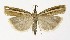  ( - NHMO-DAR-10000)  @14 [ ] CreativeCommons - Attribution Non-Commercial Share-Alike (2016) Unspecified University of Oslo, Natural History Museum