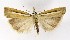  ( - NHMO-DAR-10001)  @14 [ ] CreativeCommons - Attribution Non-Commercial Share-Alike (2016) Unspecified University of Oslo, Natural History Museum