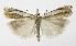  ( - NHMO-DAR-10009)  @15 [ ] CreativeCommons - Attribution Non-Commercial Share-Alike (2016) Unspecified University of Oslo, Natural History Museum
