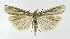  ( - NHMO-DAR-10020)  @14 [ ] CreativeCommons - Attribution Non-Commercial Share-Alike (2016) Unspecified University of Oslo, Natural History Museum