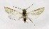  ( - NHMO-DAR-10196)  @13 [ ] CreativeCommons - Attribution Non-Commercial Share-Alike (2016) Unspecified University of Oslo, Natural History Museum