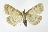  ( - NHMO-DAR-10083)  @13 [ ] CreativeCommons - Attribution Non-Commercial Share-Alike (2016) Unspecified University of Oslo, Natural History Museum