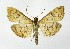  ( - NHMO-DAR-10087)  @14 [ ] CreativeCommons - Attribution Non-Commercial Share-Alike (2016) Unspecified University of Oslo, Natural History Museum