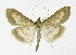  ( - NHMO-DAR-10091)  @11 [ ] CreativeCommons - Attribution Non-Commercial Share-Alike (2016) Unspecified University of Oslo, Natural History Museum