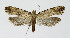  ( - NHMO-DAR-10323)  @14 [ ] CreativeCommons - Attribution Non-Commercial Share-Alike (2016) Unspecified University of Oslo, Natural History Museum
