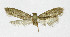  ( - NHMO-DAR-10343)  @13 [ ] CreativeCommons - Attribution Non-Commercial Share-Alike (2016) Unspecified University of Oslo, Natural History Museum