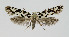  ( - NHMO-DAR-10347)  @14 [ ] CreativeCommons - Attribution Non-Commercial Share-Alike (2016) Unspecified University of Oslo, Natural History Museum