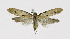  ( - NHMO-DAR-10350)  @13 [ ] CreativeCommons - Attribution Non-Commercial Share-Alike (2016) Unspecified University of Oslo, Natural History Museum